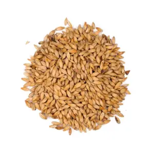 Malt 1 Kg